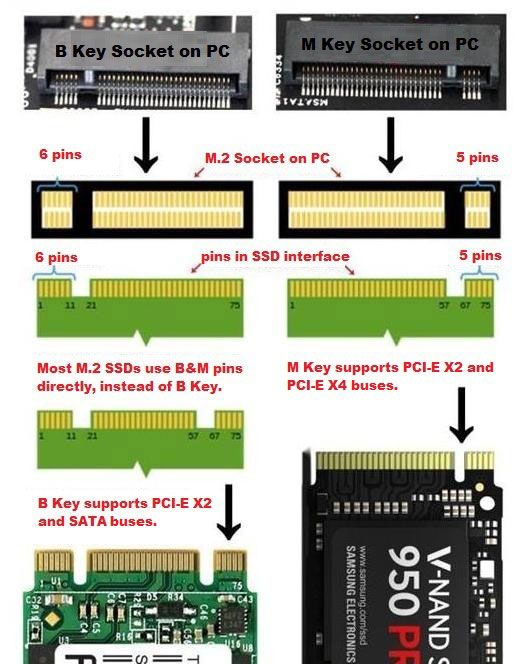 nvme-vs-m-2-2.jpg