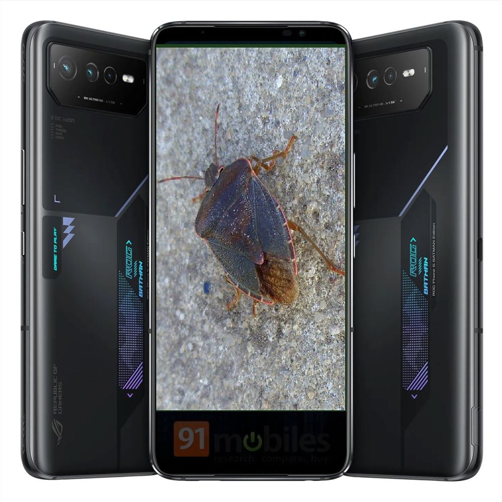 asus-rog-phone-6-bug.jpg